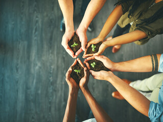 Plant, sustainability and space with hands of business people for teamwork, earth or environment...