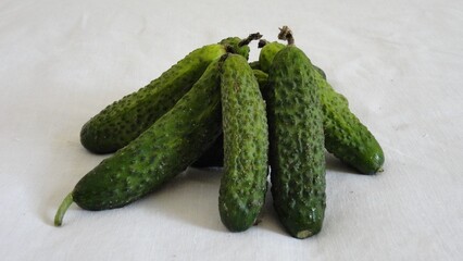 Fresh ripe organic small cucumbers cornichon in daylight on a white background. Skye05 foto