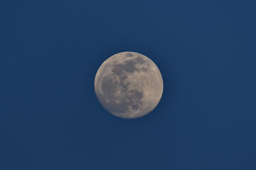 日没直後のうっすらと青い空に浮かぶ満月