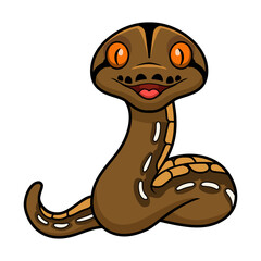 Cute tiger reticulatus python cartoon