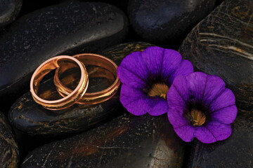 Wedding gold rings and violet flowers, on black stones.  - 603238065