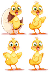 Set of baby chicken cartoon