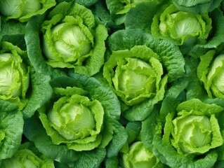 Fototapeta premium Lettuce background as seamless tile (generative AI)