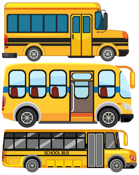 School Bus Vector Collection