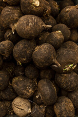 Lots of unwashed black radish on the counter in the grocery section of the grocery store. Vitamins, health and organic food. Close-up. Vertical.