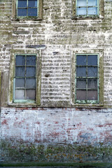 A weathered algae covered wall with windows.