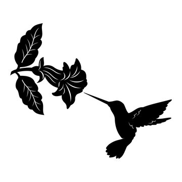 recommend clip art: hummingbird with flowers vector