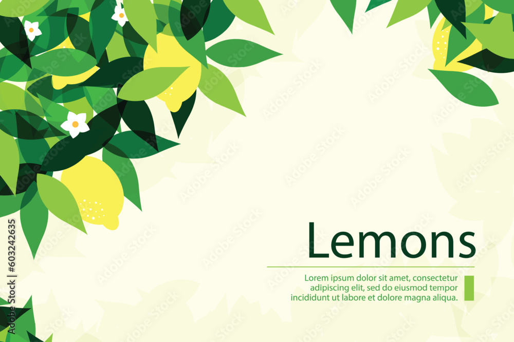 Wall mural Fresh background with ripe lemons and green leaves. Vector illustration flat design style. 