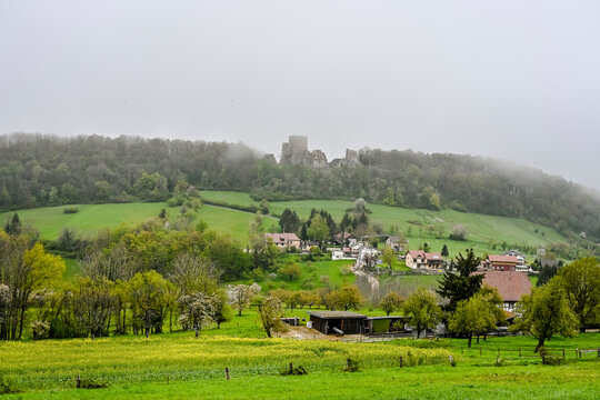 Landskron, Ruine, Schloss, Burg, Obstb&auml;ume, Gl&uuml;h, Dorf, Apfelbl&uuml;te, Bl&uuml;tezeit, Wald, Waldweg, Wanderweg, Mariastein, Aussichtspunkt, Landskronberg, Fr&uuml;hling, Morgennebel, Nebel, Schweiz