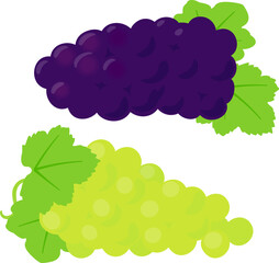 緑色のブドウと紫色のブドウ