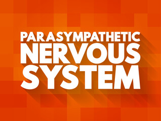 Parasympathetic Nervous System - network of nerves that relaxes your body after periods of stress or danger, text concept background