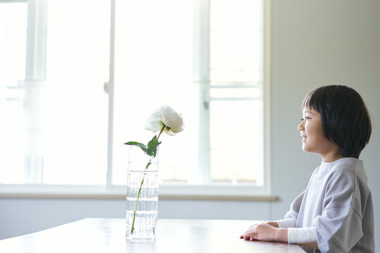 花を見つめる日本人の女の子