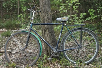 Fototapeta na wymiar one very old classic iron retro bike made in the ussr stands near a tree in the forest on the ground in summer afternoon