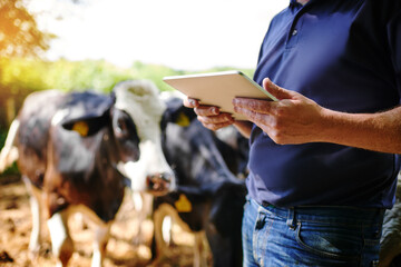 Hands, farmer and man with a tablet, farm and connection with checklist, update inventory and animals. Closeup, male person or business owner with technology, cows and sustainability with agriculture © Arnell K/peopleimages.com