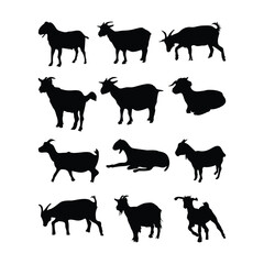 Domestic goat silhouettes collection vector