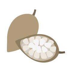 バオバブの実。フラットなベクターイラスト。
Baobab fruit (monkey bread). Flat designed vector illustration.