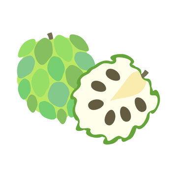 recommend clip art: バンレイシ（釈迦頭、シュガーアップル）。フラットなベクターイラスト。
                    Sugar apple (sweetsop). Flat designed vector illustration.
