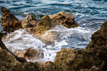 Roatan, Karibik, Honduras, Pflanzenwelt, Natur, Blumen
