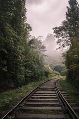 Fototapeta premium Train path, peaceful and mystical.