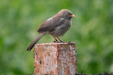 A collection of photographs from my gallery