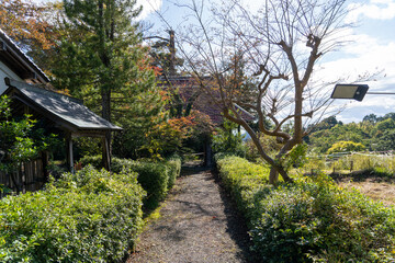 Obraz premium 京都 舞鶴 多禰寺（多祢寺）