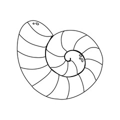 seashell flat vector cartoon illustration on white background