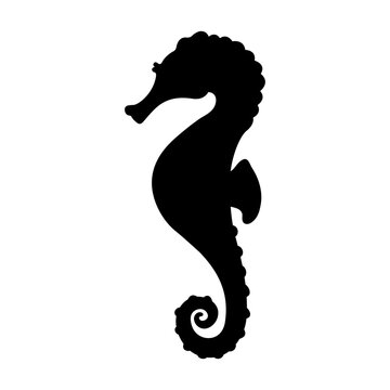Black silhouette of seahorse. Vector illustration of the shadow of an underwater animal. Hippocampus stencil on white background