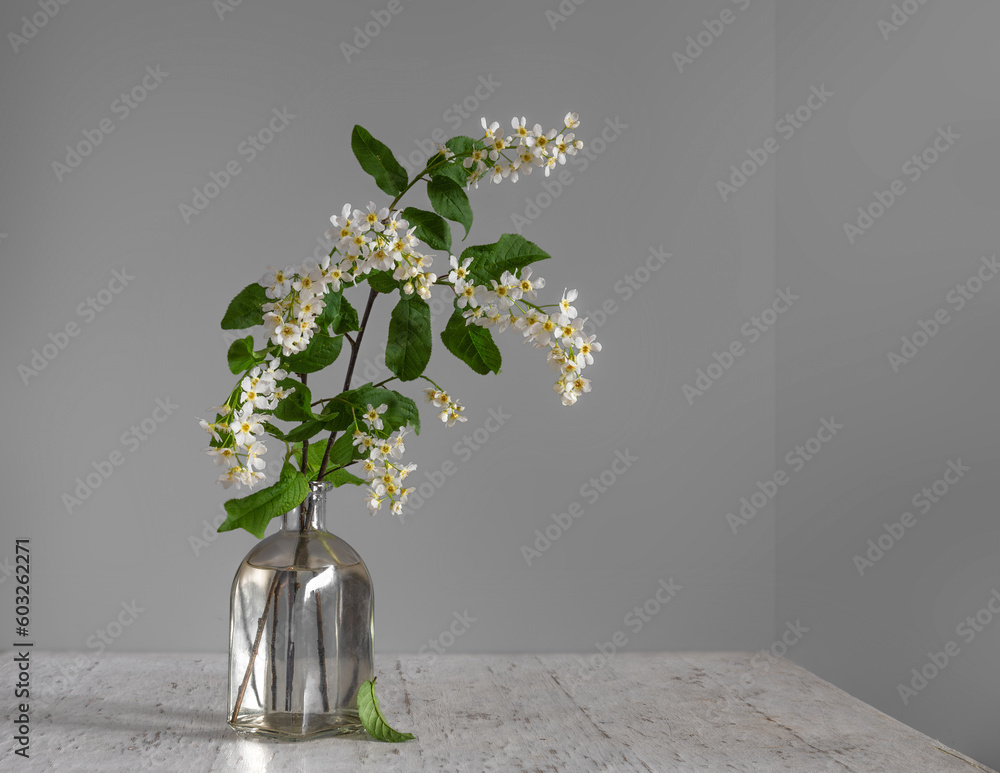 Wall mural A branch with fragrant flowers of white bird cherry.