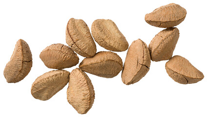 In-sell Brazil nut isolated on the white background, top view.
