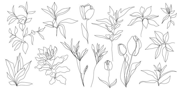 Vector set of hand drawn, single continuous line flowers, leaves. Art floral elements, tulips illustrations. Use for t-shirt prints, logos, cosmetics and beauty design elements.