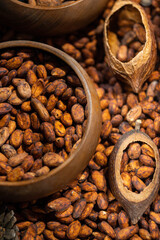 cacao seeds