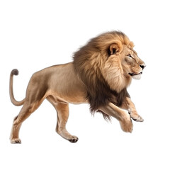 side view of animal lion running on transparent background, Generative Ai