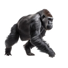 side view of animal gorilla running on transparent background, Generative Ai