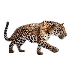 side view of animal jaguar running on transparent background, Generative Ai
