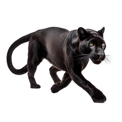 side view of animal panther running on transparent background, Generative Ai