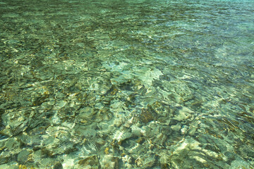 Image of the water surface of the sea in green tones