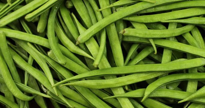 Top view of Cluster bean. Gavar bean. Cyamopsis tetragonoloba.