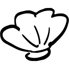 shell for summer with doodle and hand drawn style.