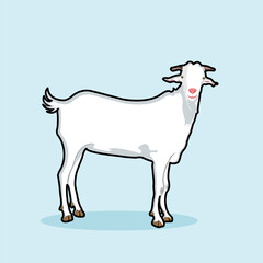 White Male Goat Or Buck Domestic Farm Animal Standing On Soft Blue Background, Vector illustration