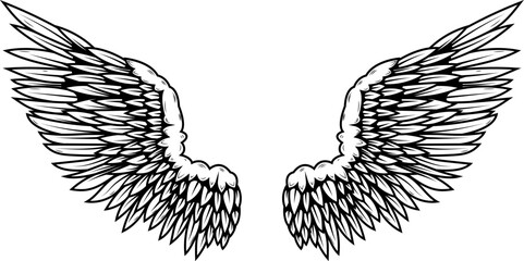 illustration of a pair of wings in black and white,  done in a tattoo-style. Angel wings. illustration of bird wings.