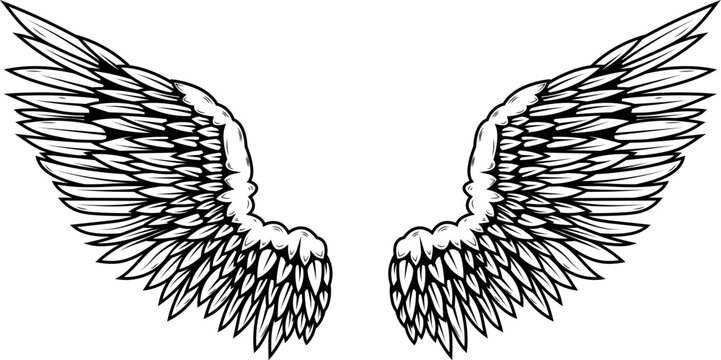 illustration of a pair of wings in black and white,  done in a tattoo-style. Angel wings. illustration of bird wings.
