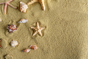 Fototapeta na wymiar Seashells and stars in the sand. Summer still life.