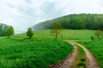 Erste Schritte auf dem Rennsteig zwischen Hörschel und Blankenstein im schönen Frühling - Thüringen - Deutschland
