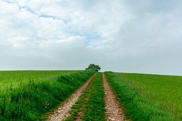 Erste Schritte auf dem Rennsteig zwischen Hörschel und Blankenstein im schönen Frühling -...