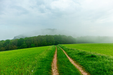 Erste Schritte auf dem Rennsteig zwischen Hörschel und Blankenstein im schönen Frühling -...
