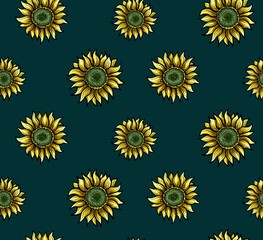 Botanical floral seamless pattern wild meadow sunflower