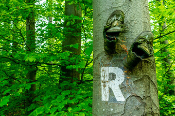 Erste Schritte auf dem Rennsteig zwischen Hörschel und Blankenstein im schönen Frühling - Thüringen - Deutschland
