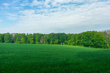 Erste Schritte auf dem Rennsteig zwischen Hörschel und Blankenstein im schönen Frühling - Thüringen - Deutschland