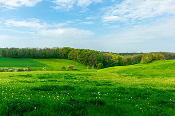 Erste Schritte auf dem Rennsteig zwischen Hörschel und Blankenstein im schönen Frühling - Thüringen - Deutschland