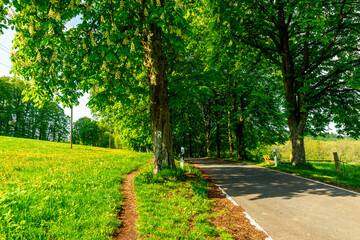 Erste Schritte auf dem Rennsteig zwischen Hörschel und Blankenstein im schönen Frühling - Thüringen - Deutschland